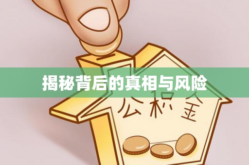 红旗揭秘背后的真相与风险