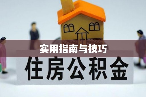 红旗实用指南与技巧
