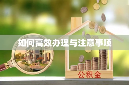 红旗如何高效办理与注意事项