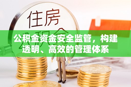 红旗公积金资金安全监管，构建透明、高效的管理体系