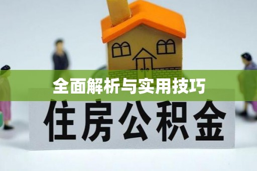 红旗全面解析与实用技巧