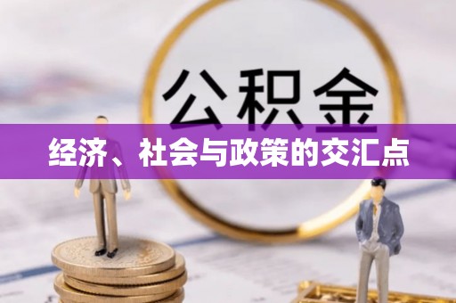 红旗经济、社会与政策的交汇点