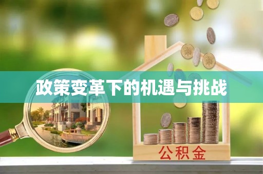 红旗政策变革下的机遇与挑战