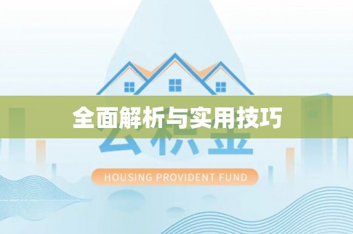 红旗全面解析与实用技巧