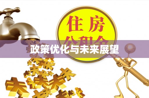 红旗政策优化与未来展望