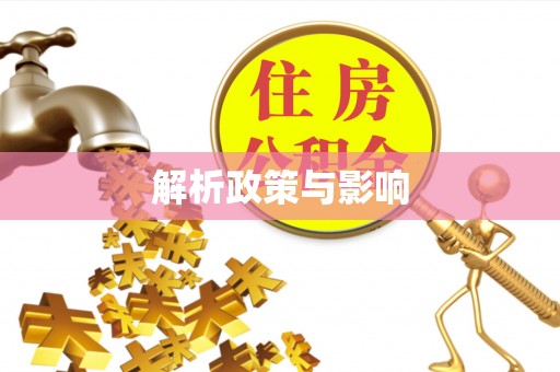 红旗解析政策与影响