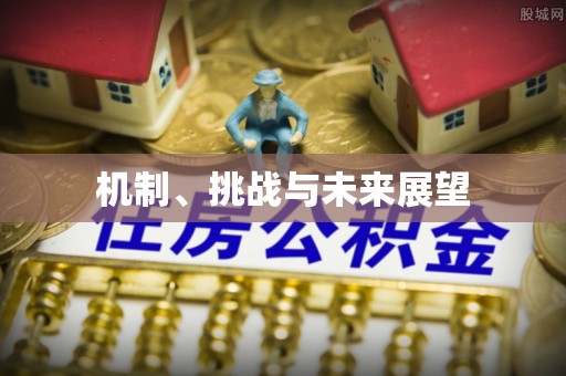 红旗机制、挑战与未来展望