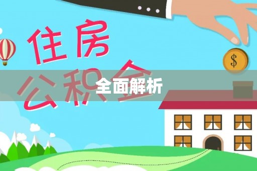 红旗全面解析